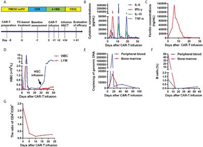 Frontiers Case Report Successful Engraftment Of Allogeneic Hematopoietic Stem Cells Using CAR